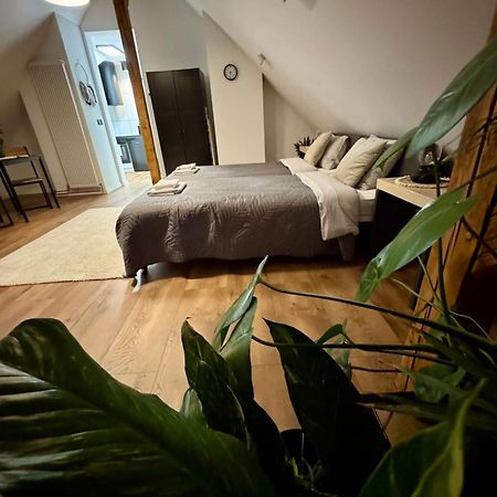 Apartamenty Astor - Ksiezycowy Szczawno-Zdroj Exterior foto